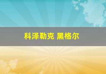 科泽勒克 黑格尔